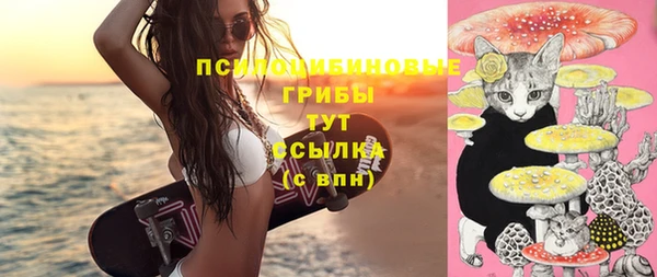 молекула духа Баксан