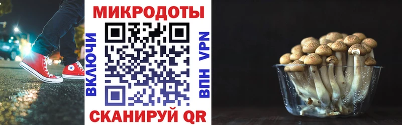 Псилоцибиновые грибы MAGIC MUSHROOMS  купить закладку  kraken сайт  Звенигород 